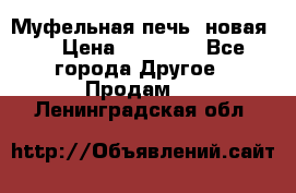 Муфельная печь (новая)  › Цена ­ 58 300 - Все города Другое » Продам   . Ленинградская обл.